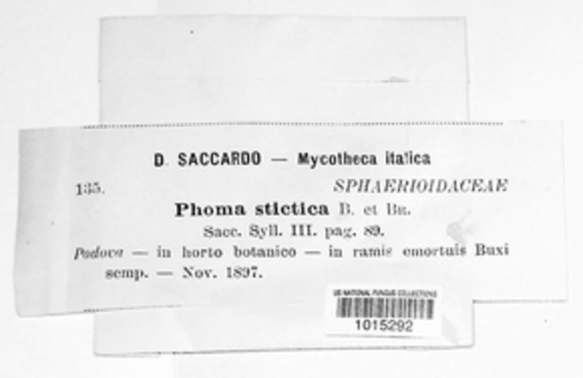 Diaporthe stictica image